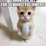 I'm serious, I can't believe that many people follow me. | Thank you all for 10 whole followers! | image tagged in memes,cute cat | made w/ Imgflip meme maker