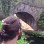 Beautiful Scenery GIF Template