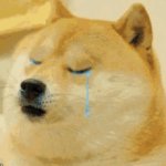 Doge oof cry