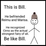 Be Like Bill | This is Bill. He befriended Reimu and Marisa. He recognized Cirno as the actual strongest fairy of all. Be like Bill. | image tagged in memes,touhou,bill | made w/ Imgflip meme maker
