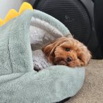 totally ready to chill