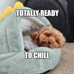 TOTALLY READY TO CHILL | totally ready; to chill | image tagged in totally ready to chill | made w/ Imgflip meme maker