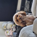 Who there?
