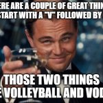 Volleyball & Vodka | there are a couple of great things that start with a "V" followed by an "O"; those two things are volleyball and vodka | image tagged in memes,leonardo dicaprio cheers | made w/ Imgflip meme maker