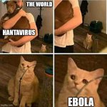 The world pays too much attention to just one of them | The World; Hantavirus; Ebola | image tagged in sad cat holding dog,sickness,virus,health | made w/ Imgflip meme maker