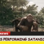 Brave jungle explorer Dora discovers her friend Boots is part of this cult | Monkeys performing satanic ritual | image tagged in gifs,christ help us,in other news | made w/ Imgflip video-to-gif maker