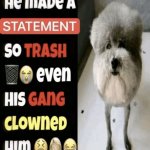 Statement Dog template
