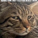 Side eye meow | Watching your adhd friend spiral into another addiction they tell you heals them | image tagged in side eye meow | made w/ Imgflip meme maker