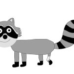 Raccoon