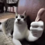 Cat Thumbsup