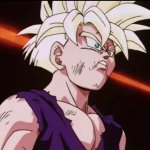 Gohan finally snaps