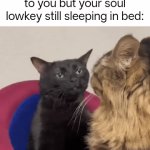 Cool memes™ | When someone is explaining to you but your soul lowkey still sleeping in bed: | image tagged in gifs,memes,funny | made w/ Imgflip video-to-gif maker