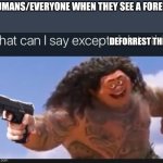 DONT CHOP DOWN TREES! | Humans/Everyone when they see a forest; Deforrest this | image tagged in what can i say except delete this,save the earth | made w/ Imgflip meme maker