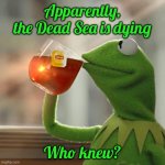 But That's None Of My Business | Apparently, the Dead Sea is dying; Who knew? | image tagged in memes,but that's none of my business,kermit the frog | made w/ Imgflip meme maker