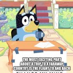 i love 7 hour flights | The most exciting part about a trip to a faraway country is the flight to and back | image tagged in bandit heeler change my mind | made w/ Imgflip meme maker