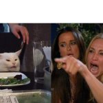 Cat yelled at by a woman template