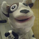 Pets.com sock puppet