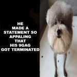 yes | HE MADE A STATEMENT SO APPALING THAT HIS 9GAG GOT TERMINATED | image tagged in he made a statement blank | made w/ Imgflip meme maker