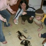 Lobster Fight