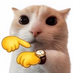 Watch Cat