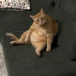 Jerry