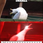 3 Year Old's At 3am Be Like | *Inhale*; MOMMMMMMMMMMMMMMM | image tagged in screaming seagull | made w/ Imgflip meme maker