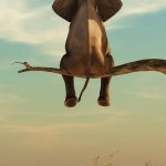 Elephant on Tree Branch