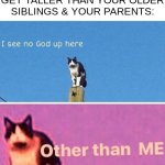 I HOLD THE POWER NOW!! | when you finally get taller than your older siblings & your parents: | image tagged in hail pole cat | made w/ Imgflip meme maker