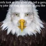 Human faced eagle | How mfs look at you when you tell a genuinely funny joke but they just stare at you like this | image tagged in human faced eagle | made w/ Imgflip meme maker