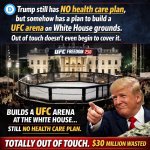 UFC Freedom 250
