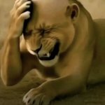 Lion head hurt