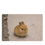 Angry bunny Meme Template