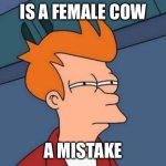 Say it out loud | Is a female cow; A mistake | image tagged in memes,futurama fry,steak,cow,big thighs,what alex loves | made w/ Imgflip meme maker