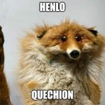 Henlo....quechion | Henlo; Quechion | image tagged in i have a question fox | made w/ Imgflip meme maker