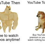Even YT Premium has ads now. | YouTube Then; YouTube Today; Free to watch videos anytime! Buy YouTube premium or you will watch nothing but ads! | image tagged in memes,buff doge vs cheems,youtube,youtube ads | made w/ Imgflip meme maker
