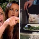 angry woman at cat
