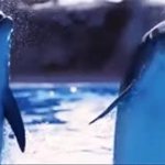 So long and Thanks for all the snacks GIF Template