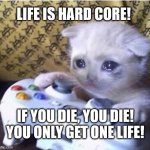 So hard core | life is hard core! if you die, you die! you only get one life! | image tagged in sad gaming cat,life,yolo,epstein files | made w/ Imgflip meme maker