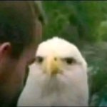 Judging Eagle