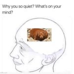 What’s on your mind | image tagged in what s on your mind,remix | made w/ Imgflip meme maker
