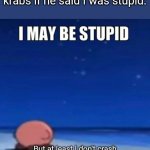 i may be stupid | What I would say to Mr krabs if he said I was stupid:; But at least I don't crash our over the thermostat being touched | image tagged in i may be stupid | made w/ Imgflip meme maker