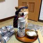 Japanese Beer Dog