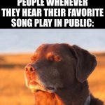 Daft Punk, Rihana, Imagine Dragons, Depeche Mode, etc...... you guess it... | people whenever they hear their favorite song play in public: | image tagged in dog accepting fate,song,public | made w/ Imgflip meme maker