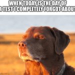 Don't look at the tags | When today is the day of a test I completely forgot about | image tagged in cooked dog,memes,never gonna give you up,never gonna let you down,never gonna run around,and desert you | made w/ Imgflip meme maker