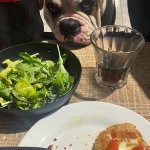 Hungy boi
