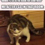 Loading cat | Me after I go in that room:; "Hmmm I'll go in the room for something" | image tagged in loading cat | made w/ Imgflip meme maker