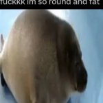 round seal (speech bubble) meme