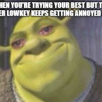 TRYING MY BEST HERE | when you're trying your best but the teacher lowkey keeps getting annoyed at you | image tagged in crying shrek | made w/ Imgflip meme maker
