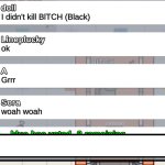 I didn't kill bitch