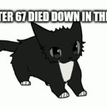 Uh huh | Life after 67 died down in the big 26 | image tagged in gifs,maxwell,cats | made w/ Imgflip video-to-gif maker